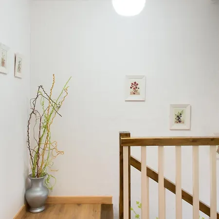 Apartament Casuca Rubia *