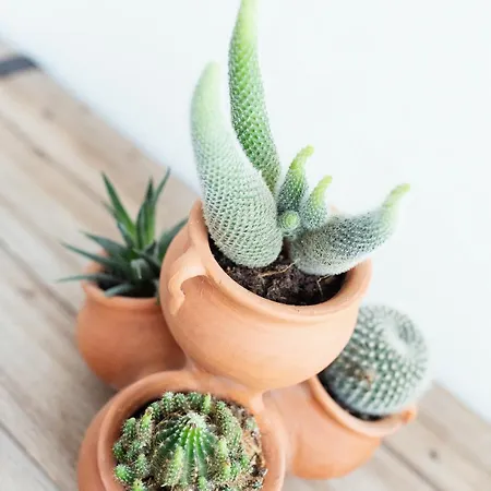 Apartamento Casuca Rubia Udalla